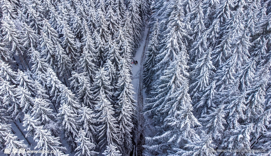 山林