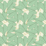 叶子植物插画