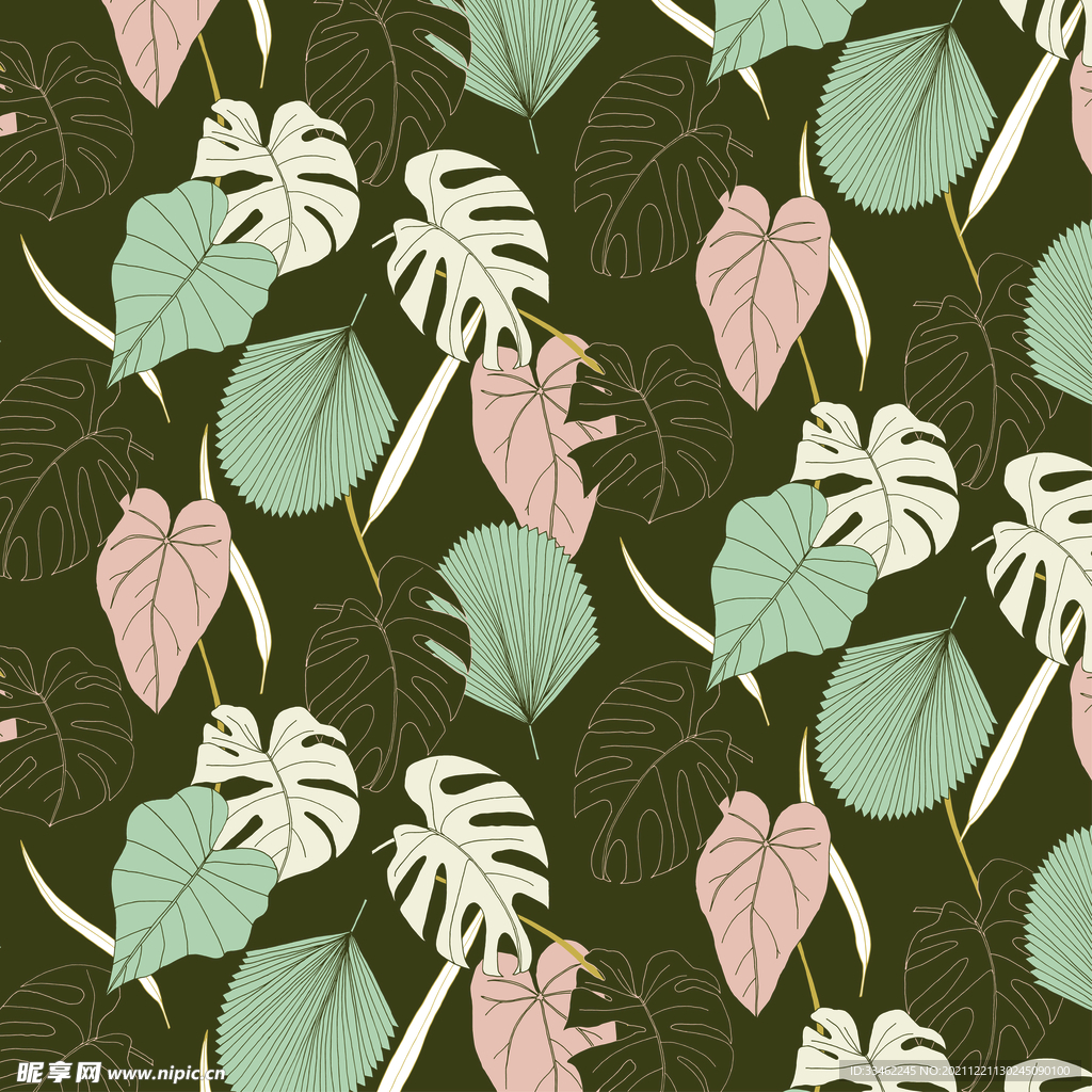 植物插画