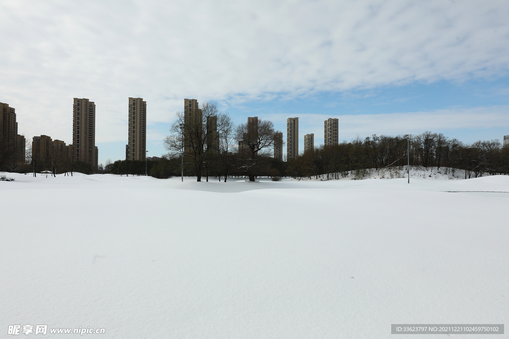 雪景