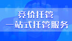 互联网背景