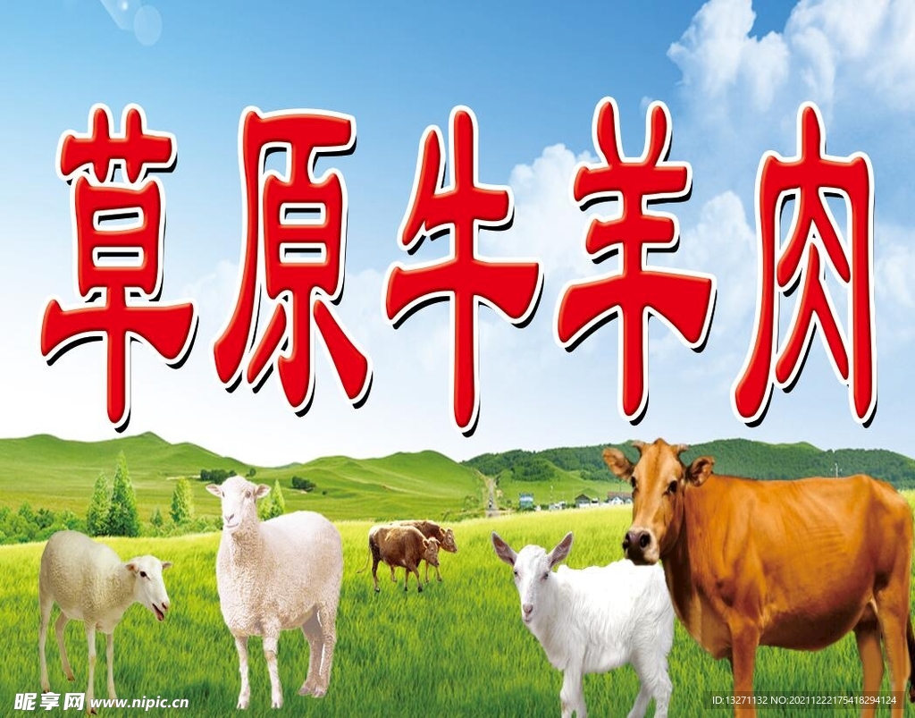 你羊肉
