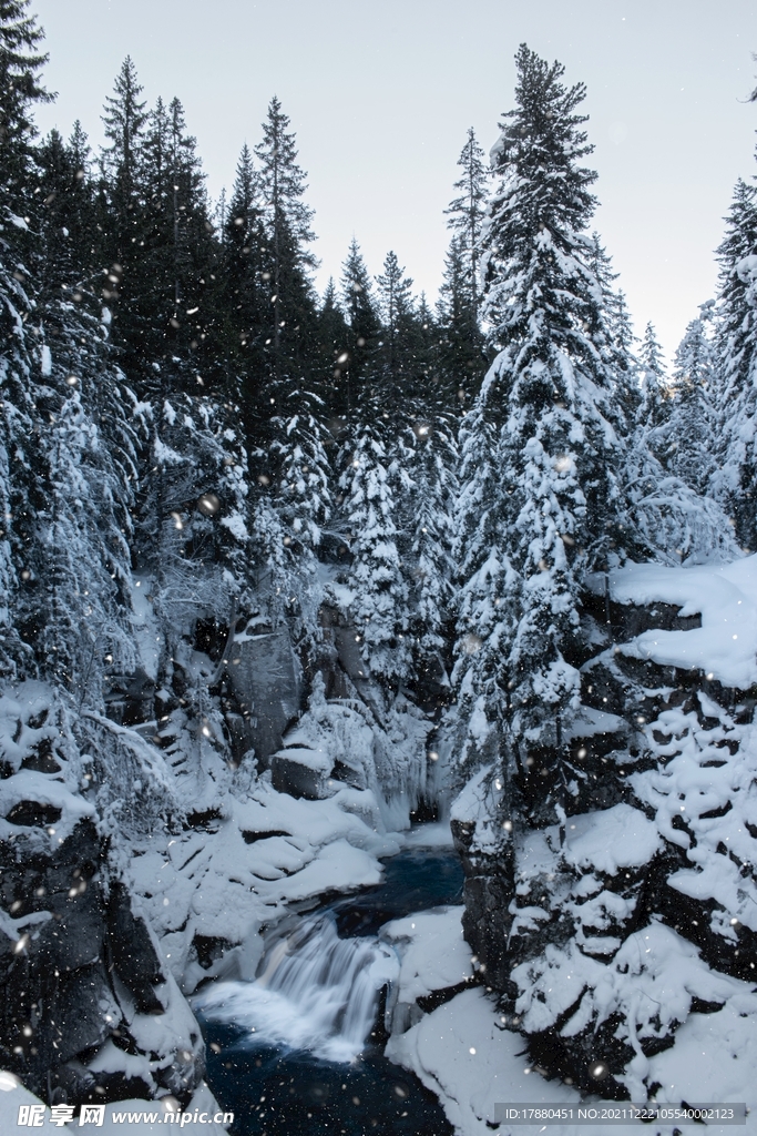 山林