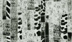 豹纹