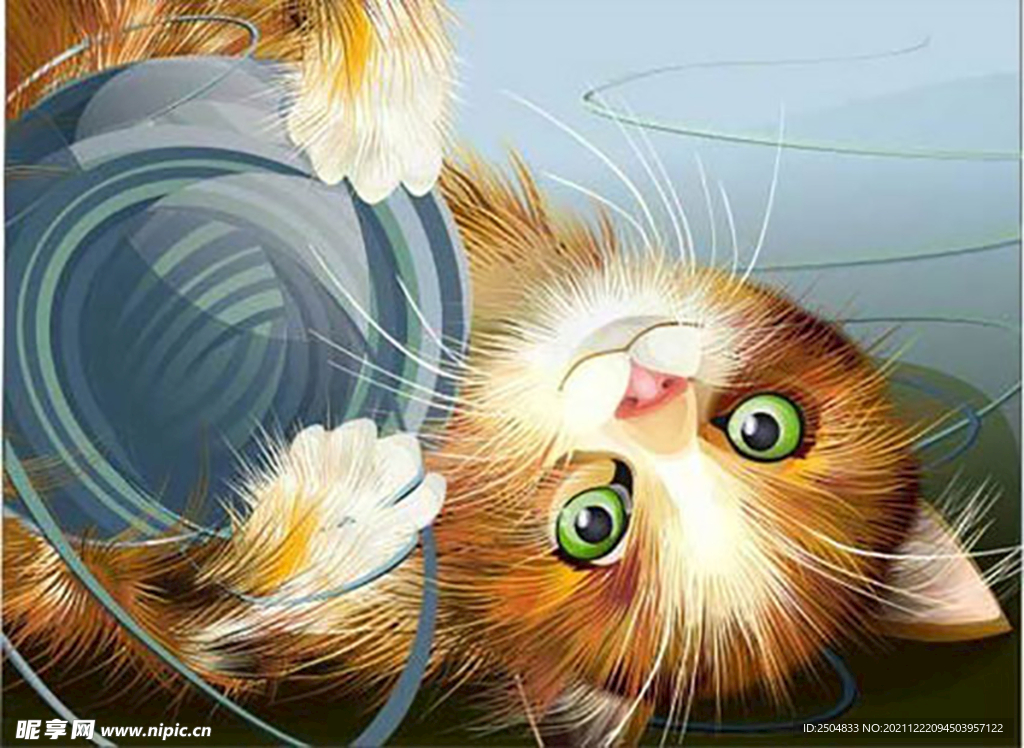 猫
