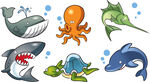 海洋生物
