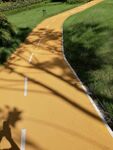 道路