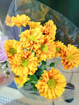 金色菊花冬日植物花束