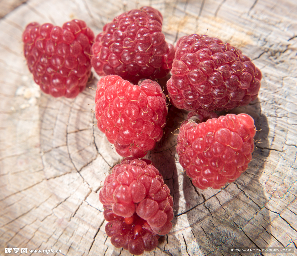 树莓的繁殖方法 - 花百科