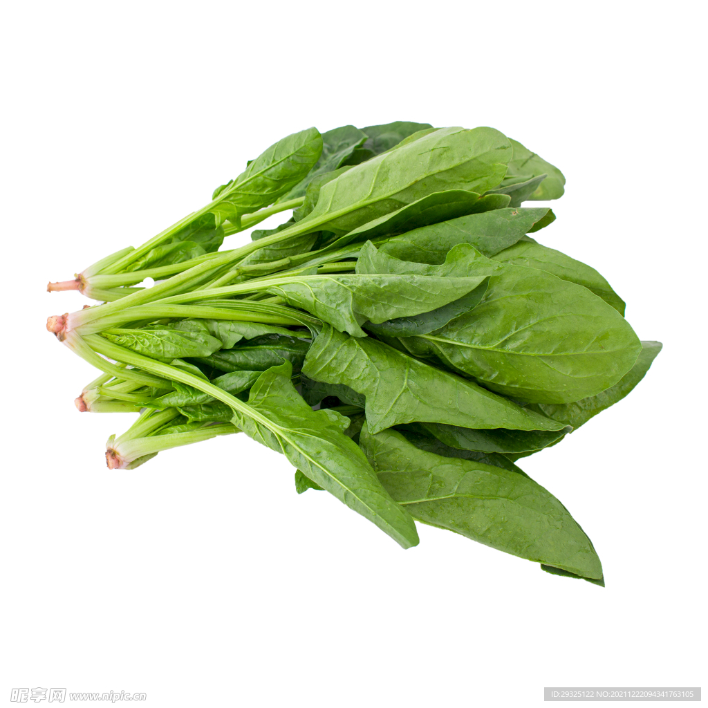 绿色蔬菜一束菠菜元素