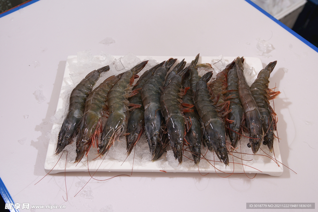 特级大虾 