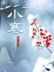 小寒海报