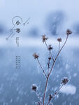 小寒海报