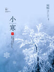 小寒海报