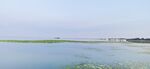 东平湖