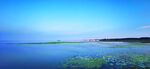 东平湖