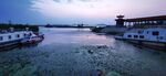 东平湖