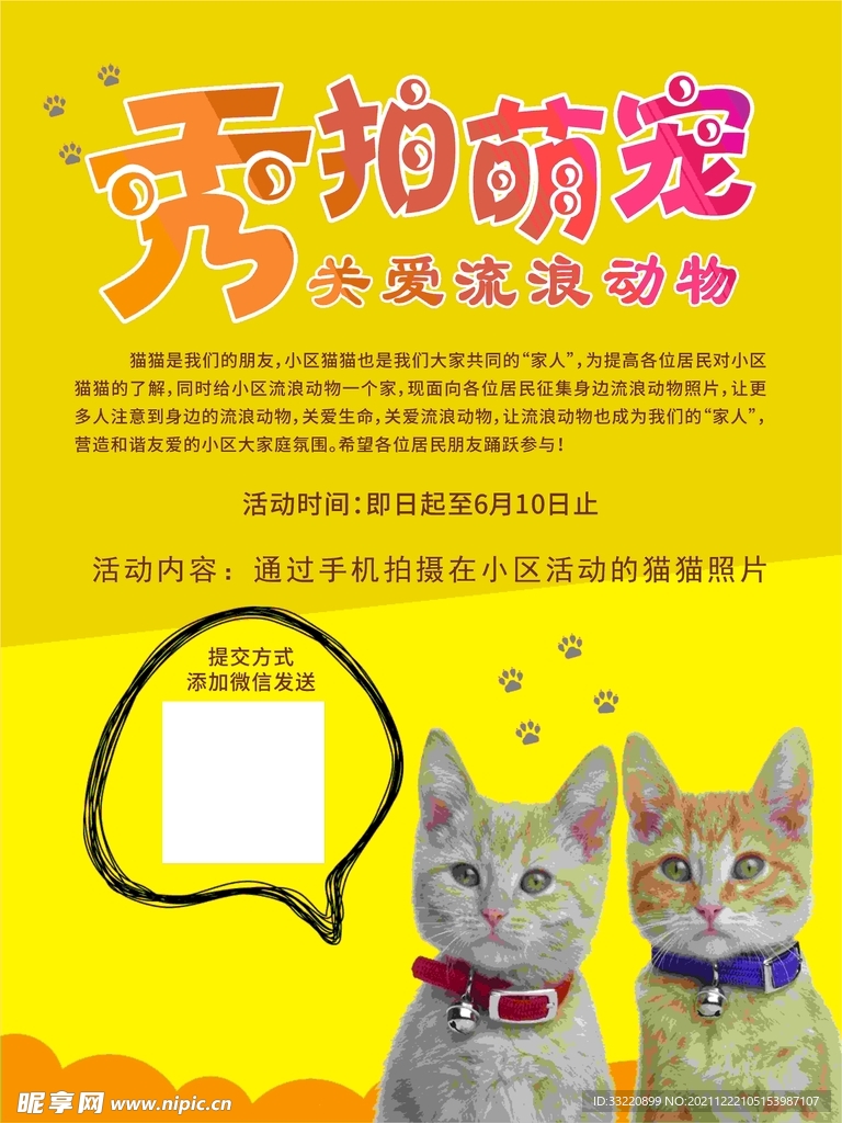猫咪海报