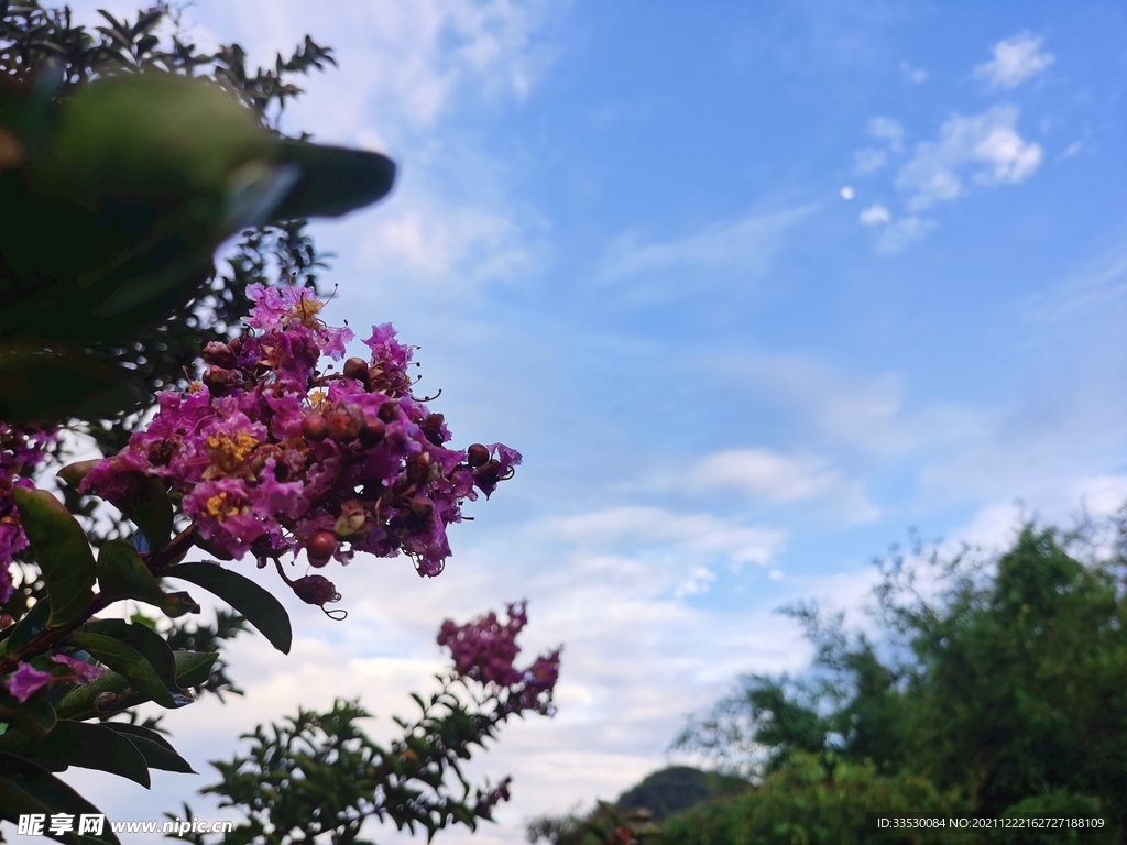 天空   白云