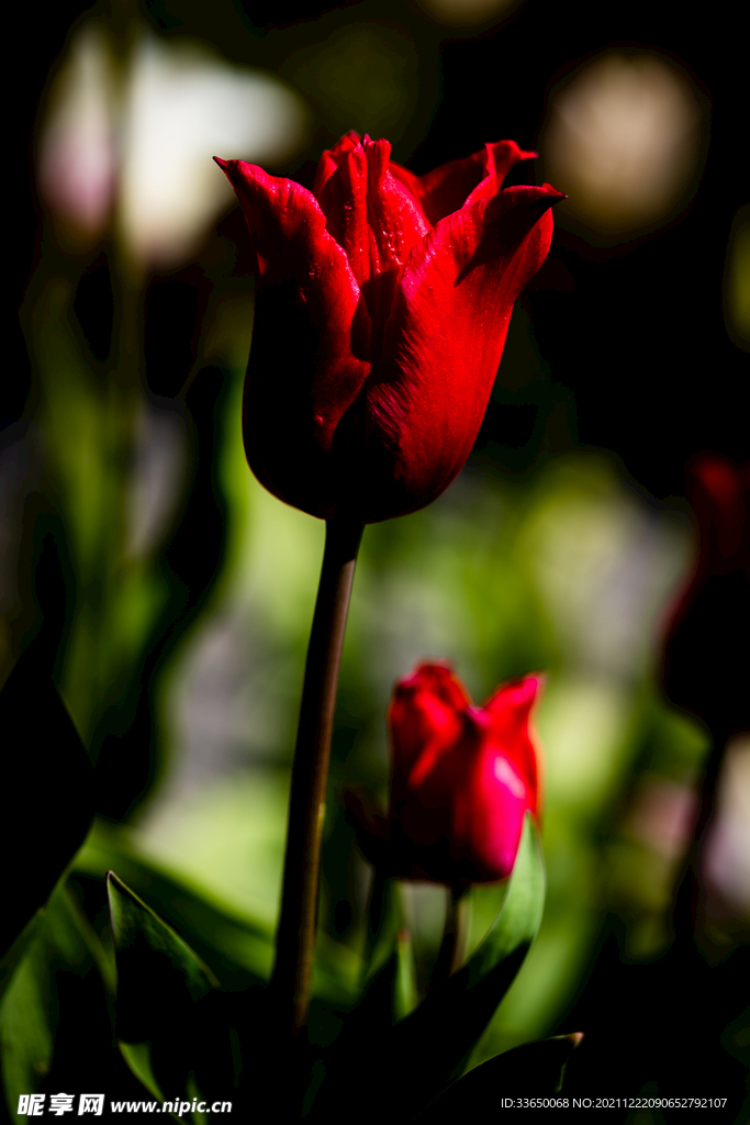 花