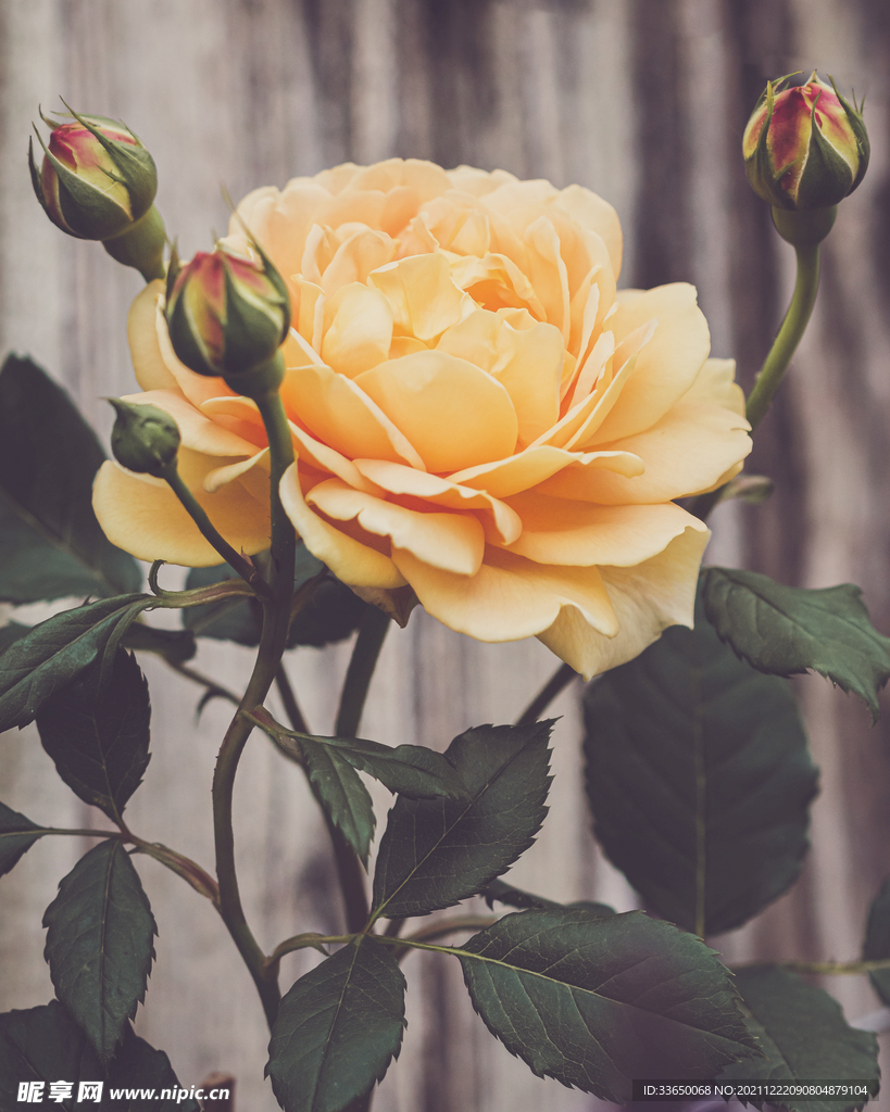 花
