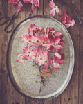花