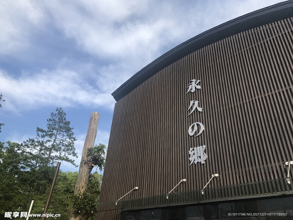 日本东京街头寺庙墓地公墓陵园