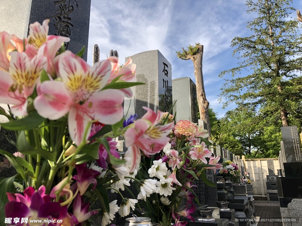 日本东京街头寺庙墓地公墓陵园实