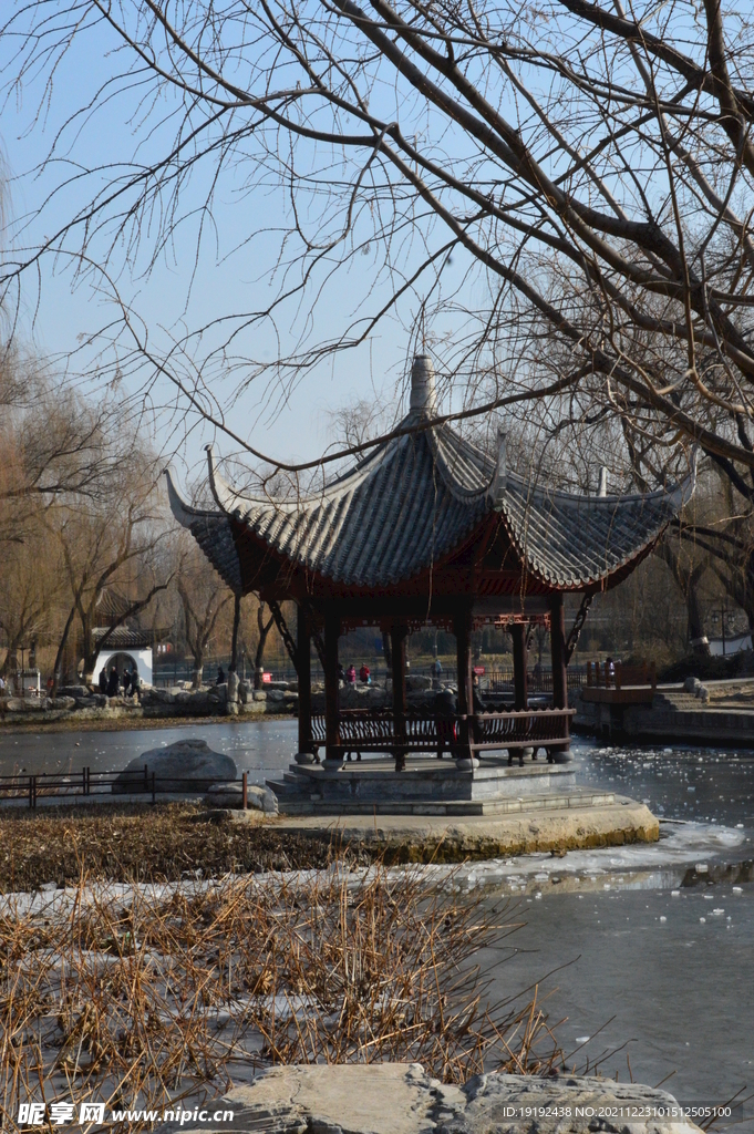 公园风景 