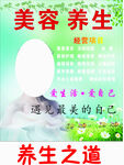 美容 养生之道