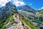 山