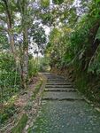 山路