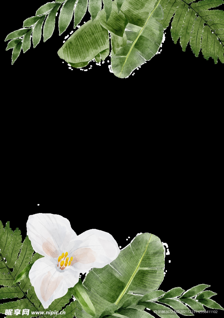 森系背景 花纹素材