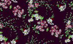 菊花 小碎花