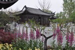 北京世园会江苏园