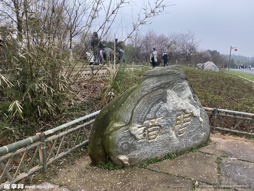 石头  竹子  背景