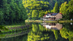 河流风景