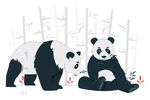 熊猫插画设计