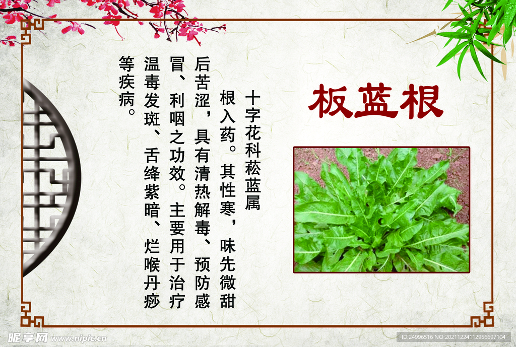 板蓝板