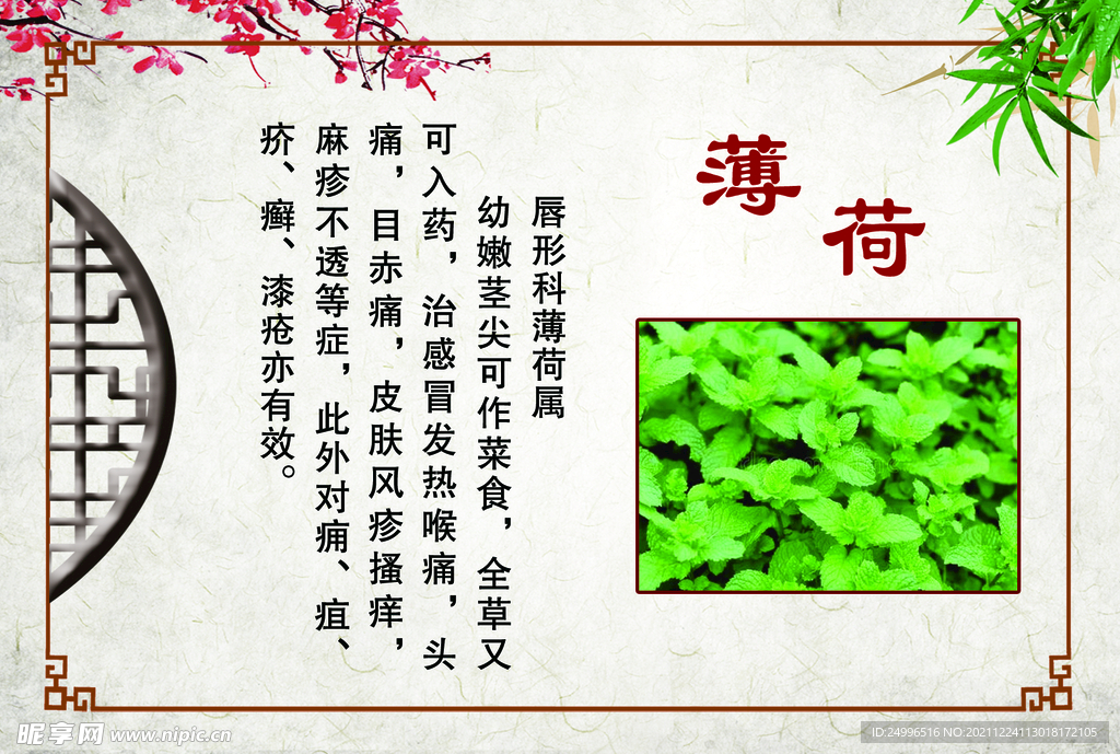 薄荷