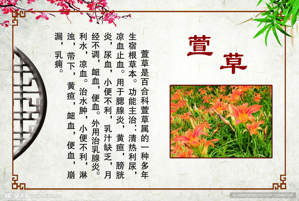 萱草
