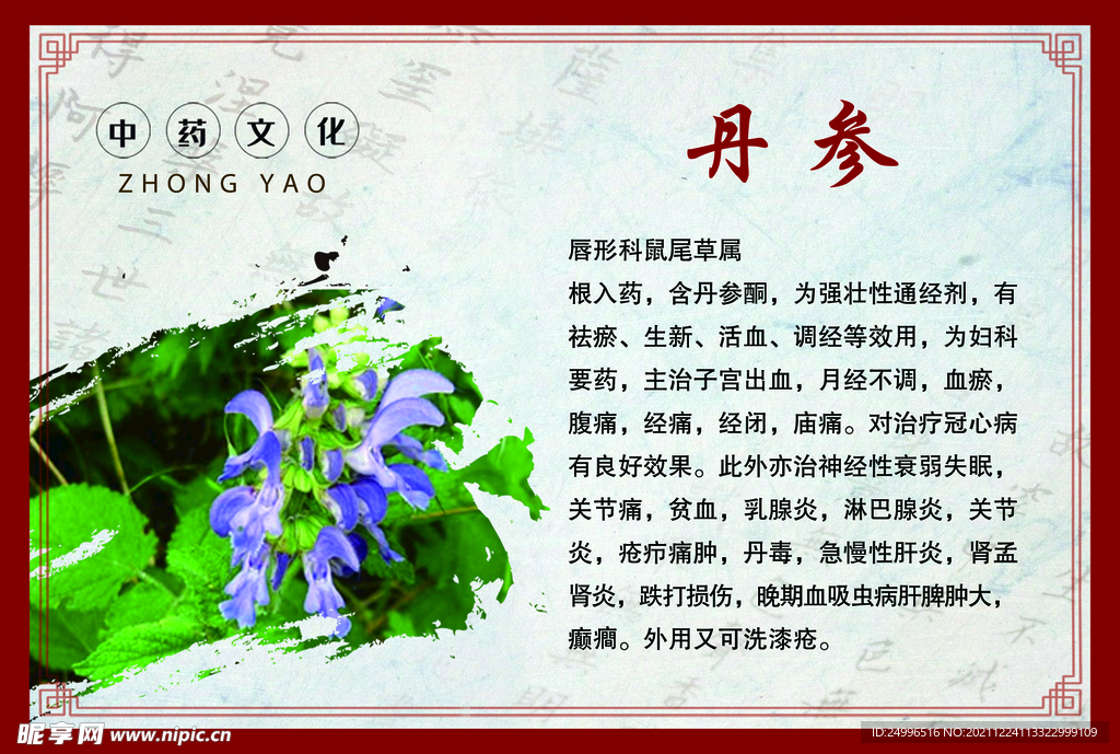 丹参