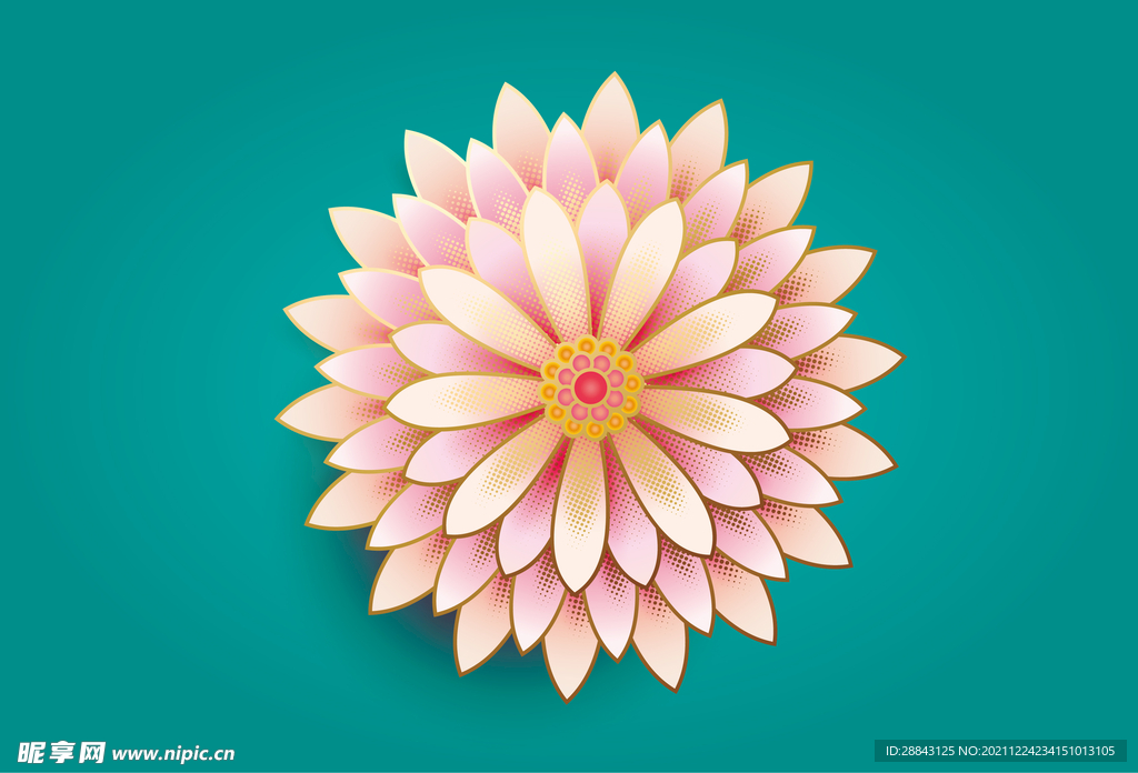 美丽花瓣矢量圆形花纹时尚纹理