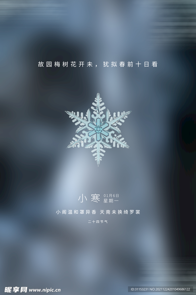 小寒海报