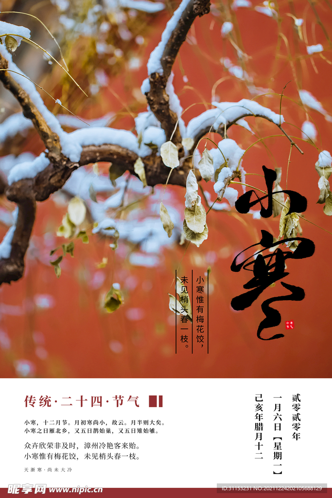 小寒海报