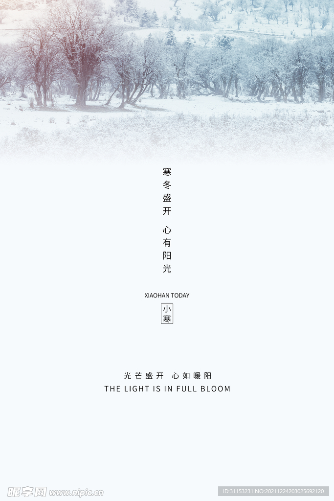 小寒海报