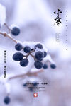 小寒海报