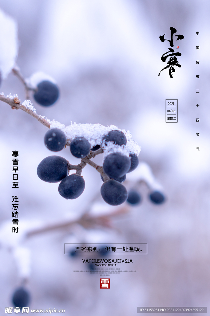 小寒海报