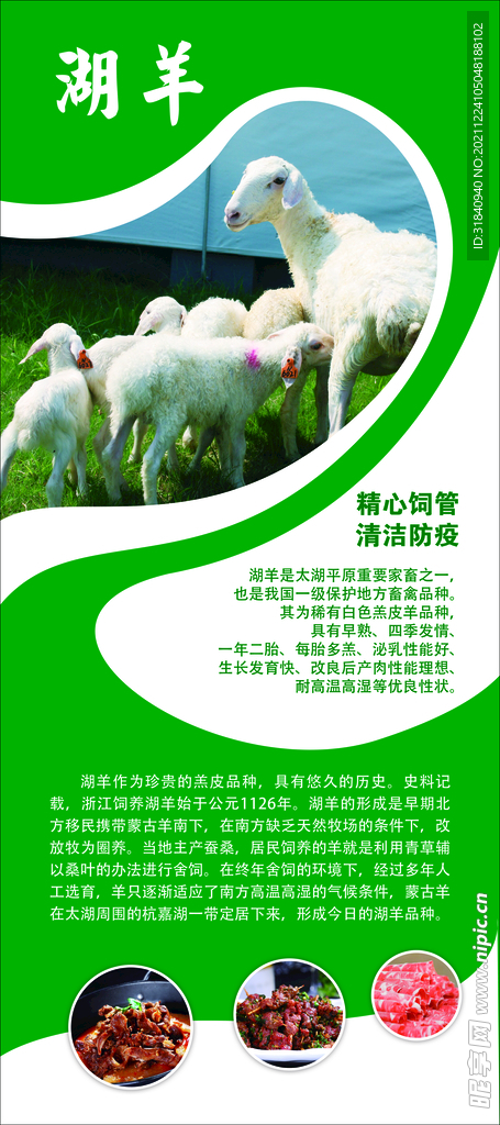 湖羊展架