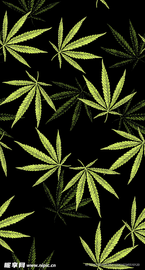 大麻叶子